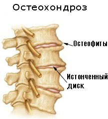 htgikuijkol;