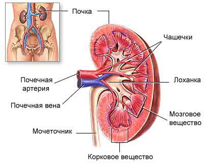 information_items_12159