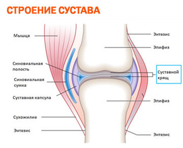 rtghioklkj;