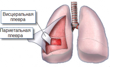 trgfujk